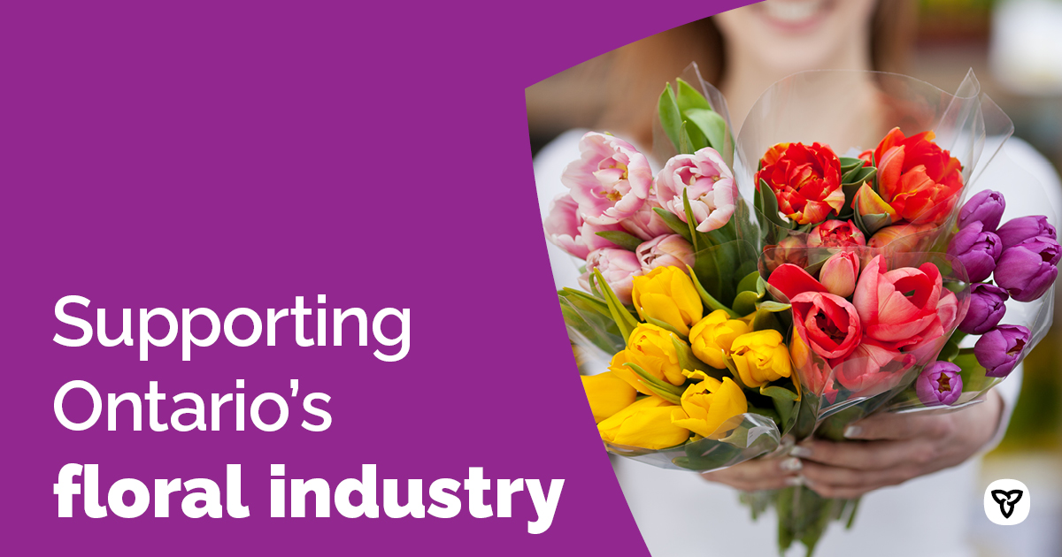 Ontario will invest up to $50,000 through the Floral Wrap Truck Program to launch mobile billboards. These billboards will help consumers support @pickontario flowers and grow the local floral industry.