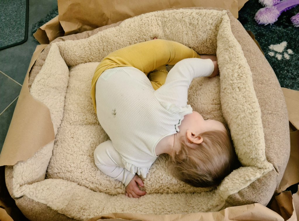 ediesausage's tweet photo. Hoosis gave us presents.....some treats and a new bed....but it seems she's already claimed the new dog bed! π€£ (And, yes, she rolled in some mud outside!)π€¦π»ββοΈ
#notasausage https://t.co/u4Sc2PvIFt