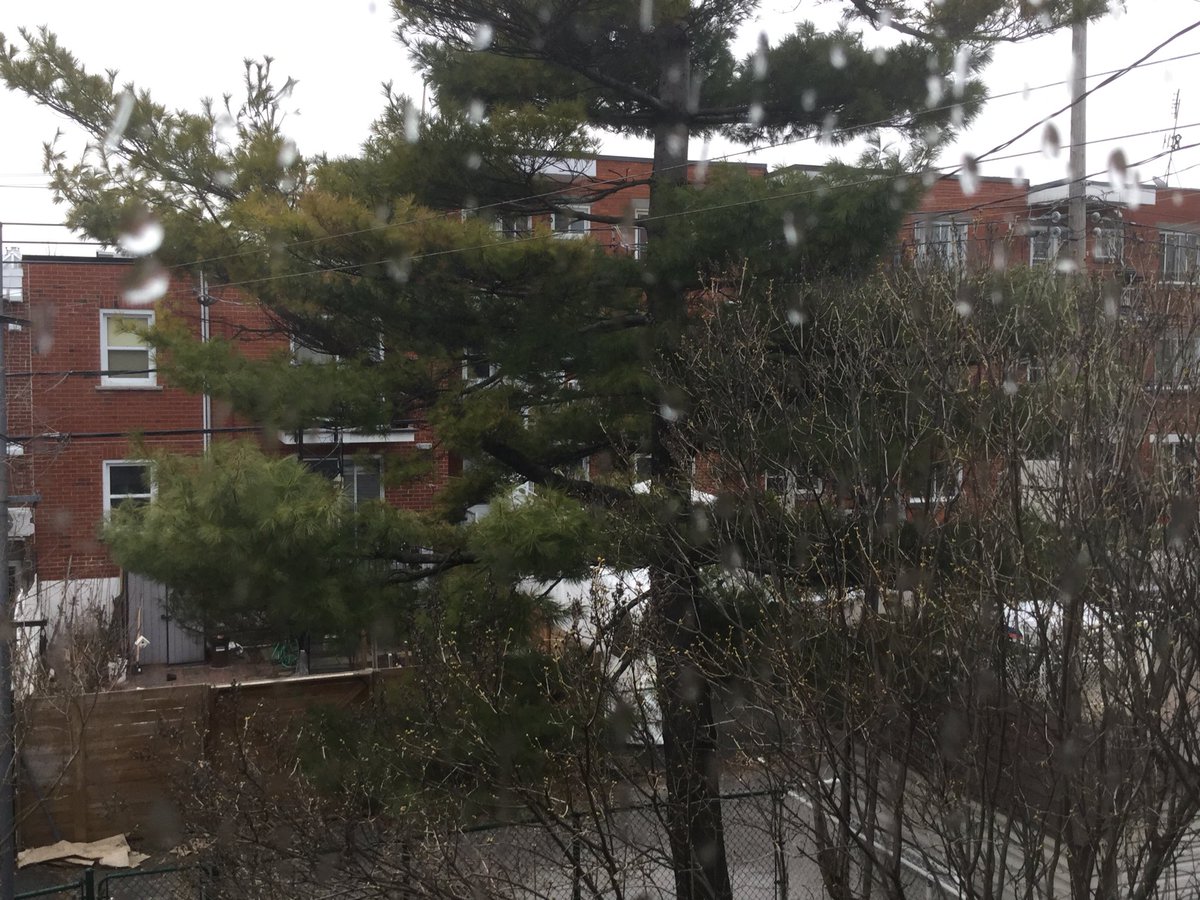 mcgee_suzanne's tweet photo. You know it's your lucky day when, just after stepping inside, the rain comes pouring down 😃👍🏻🌧 Happy Wednesday everyone 🎉 I hope this is a great day for you, take care. Peace and love always xx 🍀❤️💚🌱🌷 #NoCar #OnTransit https://t.co/NWVU0trL5i