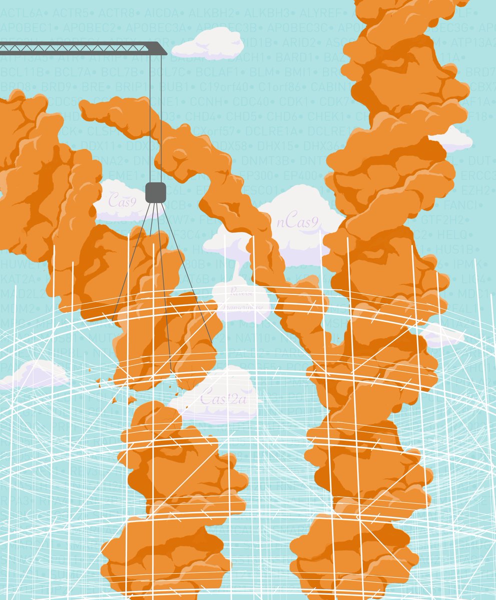 Pattern at Broad Institute tweet media