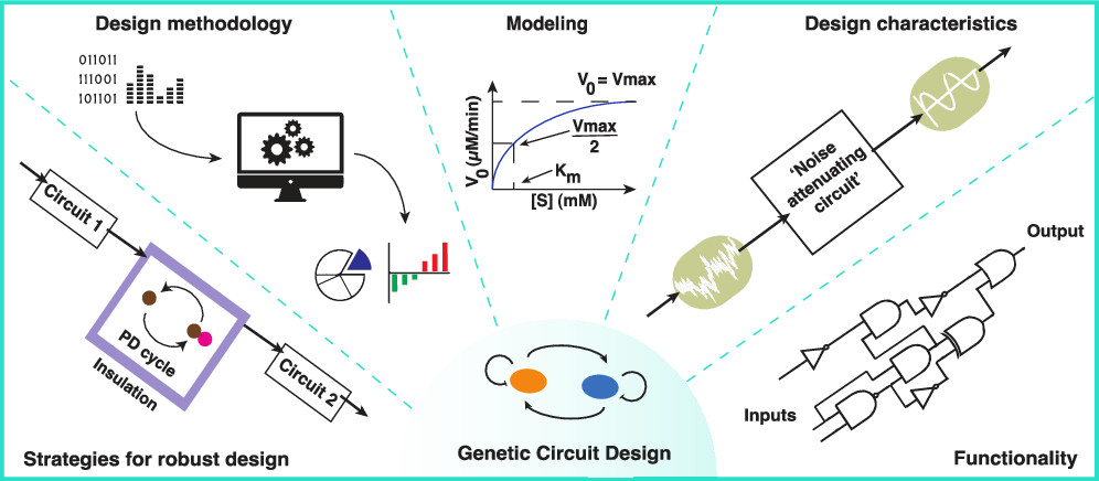ACS Synthetic Bio (@acssynbio) on Twitter photo 22 years after the first engineered genetic circuits, biology continues to confound designs. <a href="/karthikraman/">Karthik Raman</a>Ā and colleagues <a href="/iitmadras/">IIT Madras</a>Ā #review progress made, including strategies, techniques, and achievements, and highlight gaps for future exploration.
pubs.acs.org/doi/10.1021/ac⦠22 years after the first engineered genetic circuits, biology continues to confound designs. <a href="/karthikraman/">Karthik Raman</a> and colleagues <a href="/iitmadras/">IIT Madras</a> #review progress made, including strategies, techniques, and achievements, and highlight gaps for future exploration.
pubs.acs.org/doi/10.1021/acā¦
