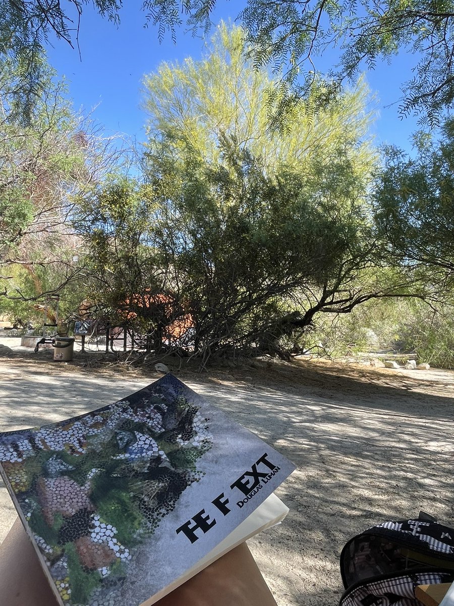 AliceAyers tweet media