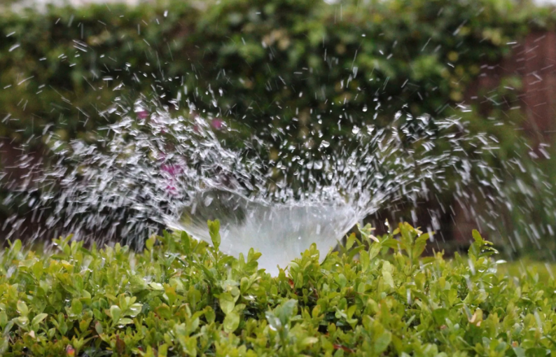 Sunrise Irrigation tweet media