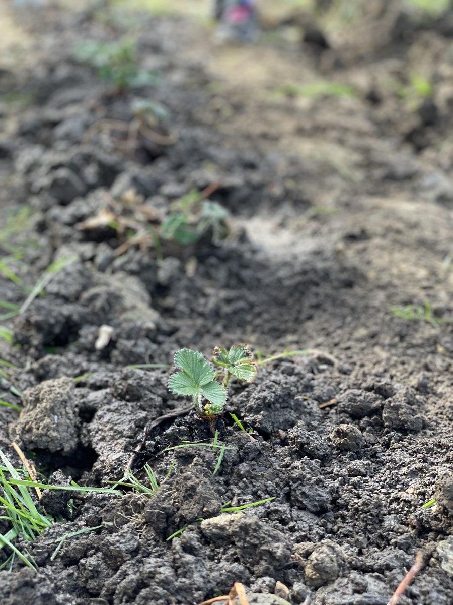 Chris Gledhill tweet media