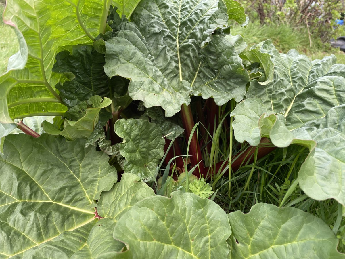 Chris Gledhill tweet media