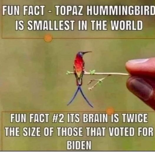 Ikennect's tweet image. Fun Facts....you're welcome😇