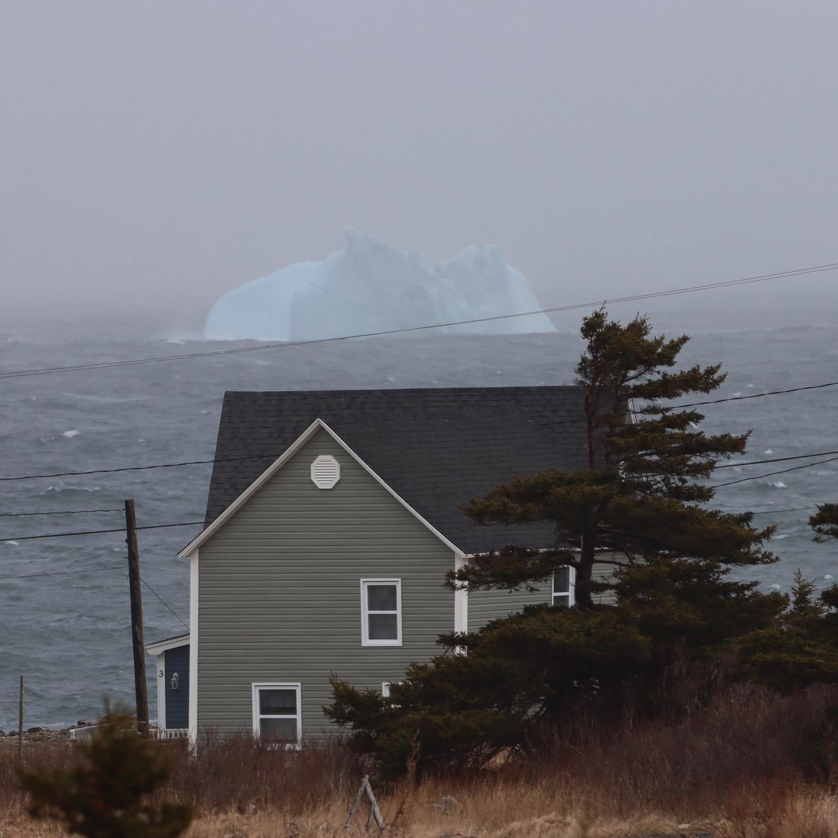 Caught floating in Elliston yesterday by <a href="/GrayMarker99/">🇨🇦</a>!

#IcebergsNL #ExploreNL #ExploreCanada