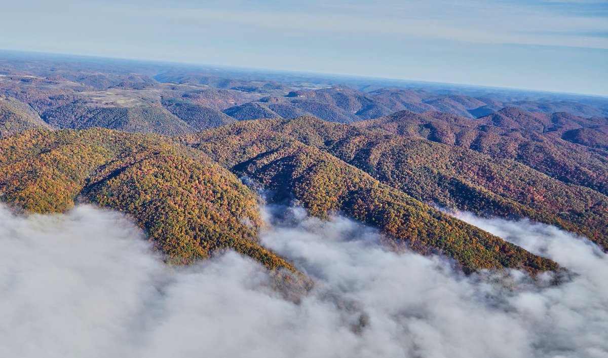 KYWildlands's tweet photo. Over the winter #KNLT protected an additional 431 acres of #wildlands on #PineMountain in #HarlanCounty expanding our Salt Trace Gap Preserve to 2,391 acres! Read more: https://t.co/d5EffAMTVw 📸: @TedWathen, Kentucky Documentary Photographic Project 
#kywildlands #pinemountainky https://t.co/yAgcmtIaE6