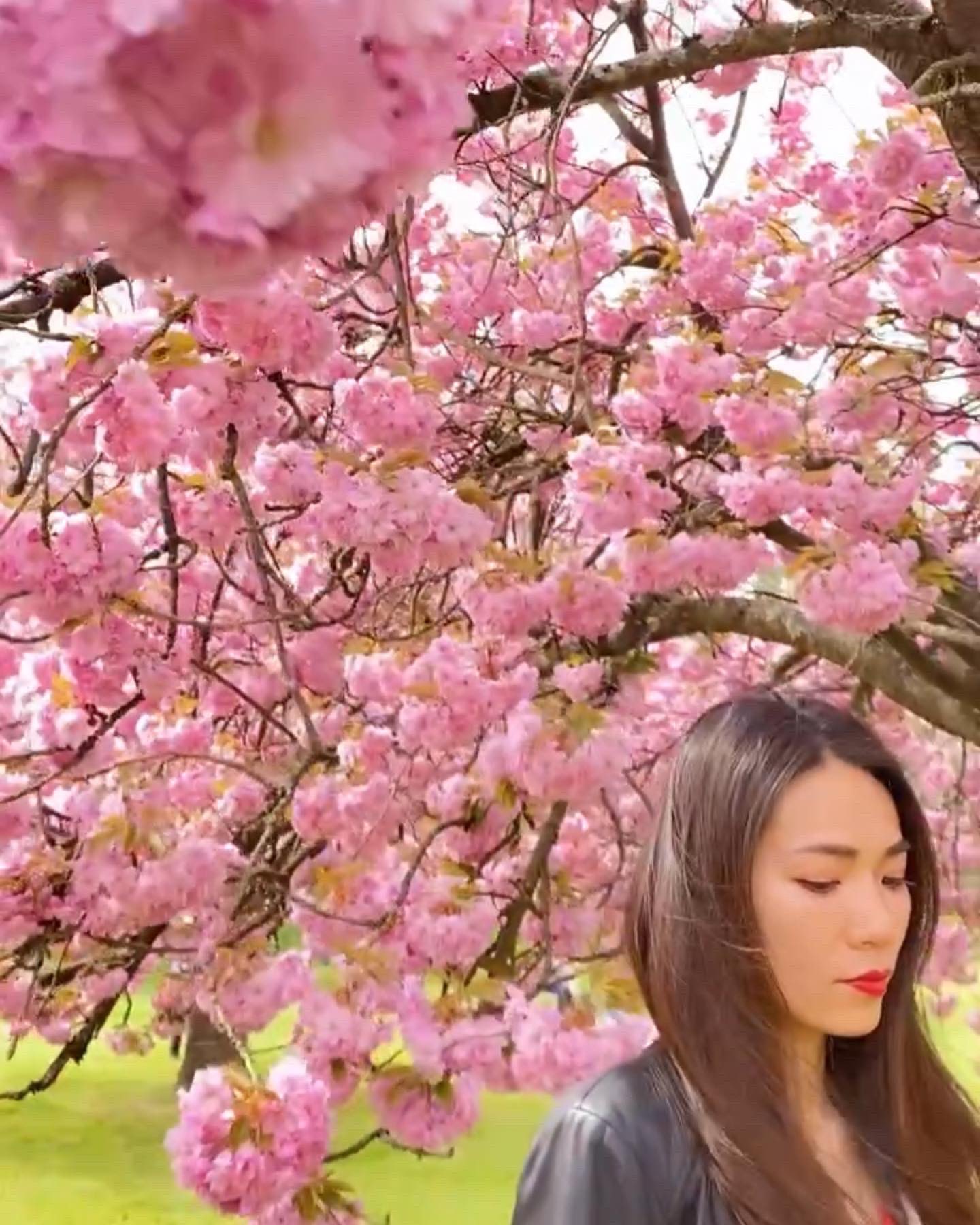 Rie In Paris 忘れないでここはパリ 今日が雨予報だったから 昨日お花見に行って良かった でも週明けもまた行こうかな T Co Tg7xgdvgaj Twitter