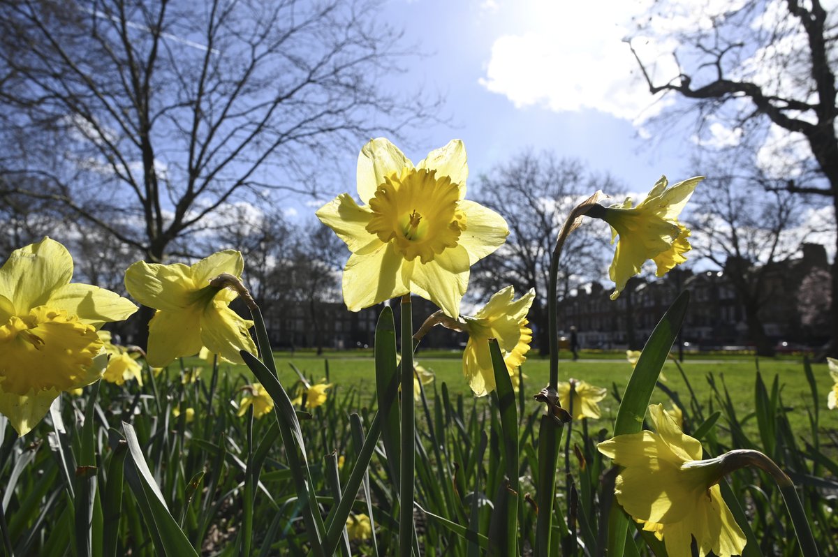 The Easter break is the perfect time to make the most of H&amp;F's many wonderful parks.

19 of our parks &amp; green spaces have won the prestigious 
<a href="/GreenFlagAward/">GreenFlagAward</a>.

Find out more about our parks here: lbhf.gov.uk/articles/news/…