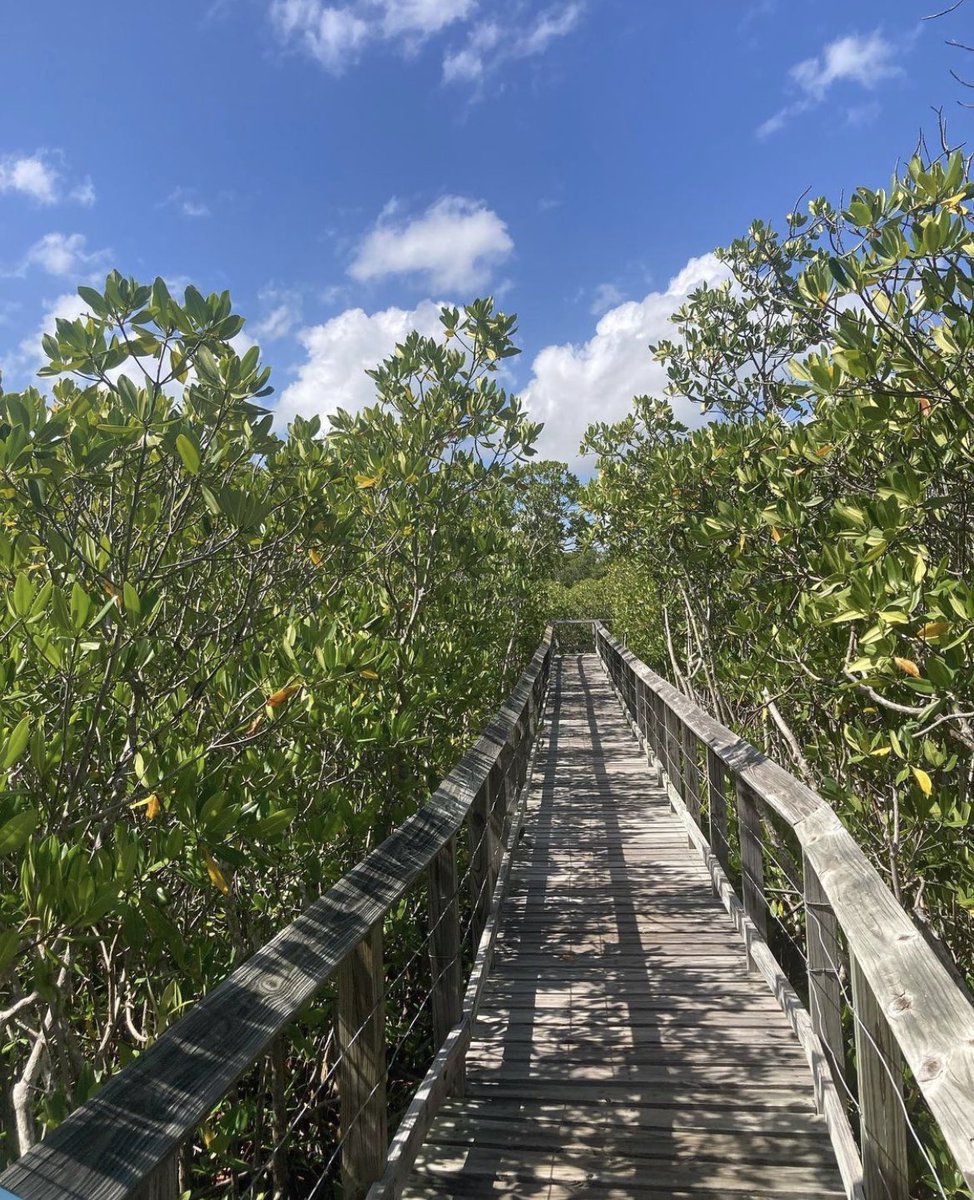 WFSI_1968's tweet photo. Hiking through the rainforest, post-snorkel lunch on crystal clear water… experiential learning at its finest 😎 🏝 #itsworthit https://t.co/kKJRPpwgoY