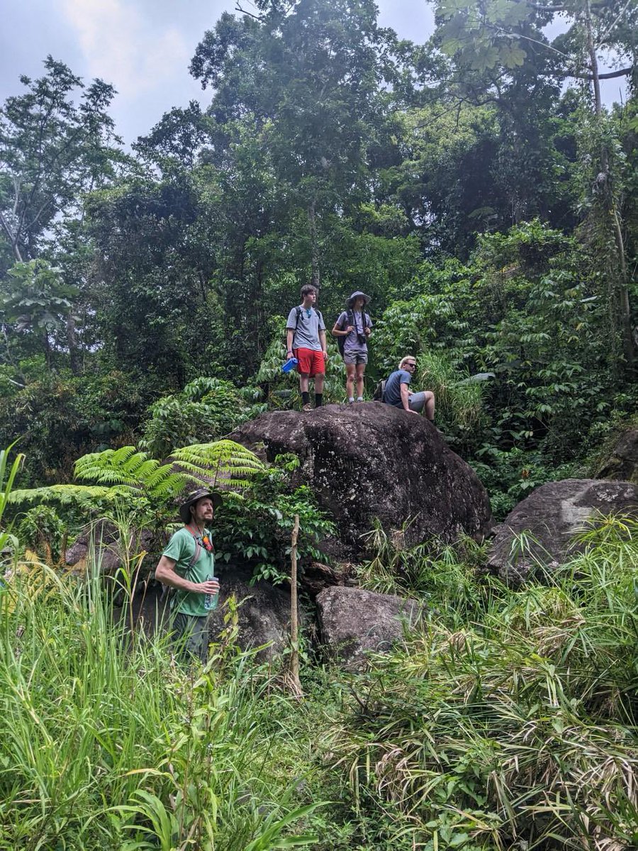 WFSI_1968's tweet photo. Hiking through the rainforest, post-snorkel lunch on crystal clear water… experiential learning at its finest 😎 🏝 #itsworthit https://t.co/kKJRPpwgoY