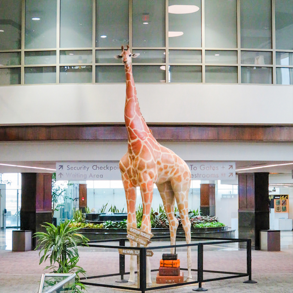 If you find yourself visiting the Baton Rouge Metro Airport anytime soon, there’s a new statue in the airport that you won’t be able to miss. The Baton Rouge Zoo has placed an 18 foot-tall giraffe sculpture in the Baton Rouge Metro Airport.🦒

✨  brparents.com/april-2022-mag…
