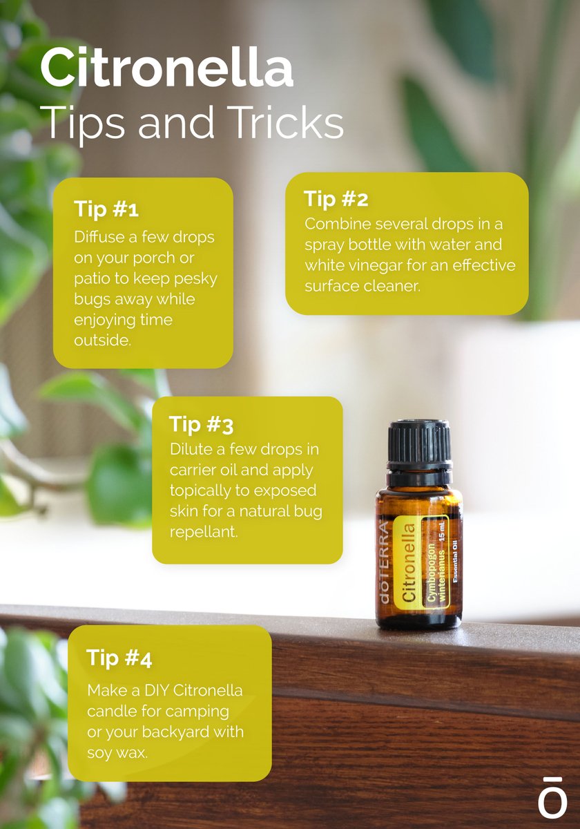 There are so many ways to enjoy the cleansing, uplifting, natural pest-repelling power of Citronella essential oil! This summertime superhero is a must-have for all things hiking, camping, outdoor entertaining, and more!

Learn more at loom.ly/Nb1QM9A