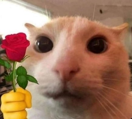 ReloadGamingLoL's tweet photo. @Dhosaii Toma, é pra você https://t.co/AwSwKTU8Zf