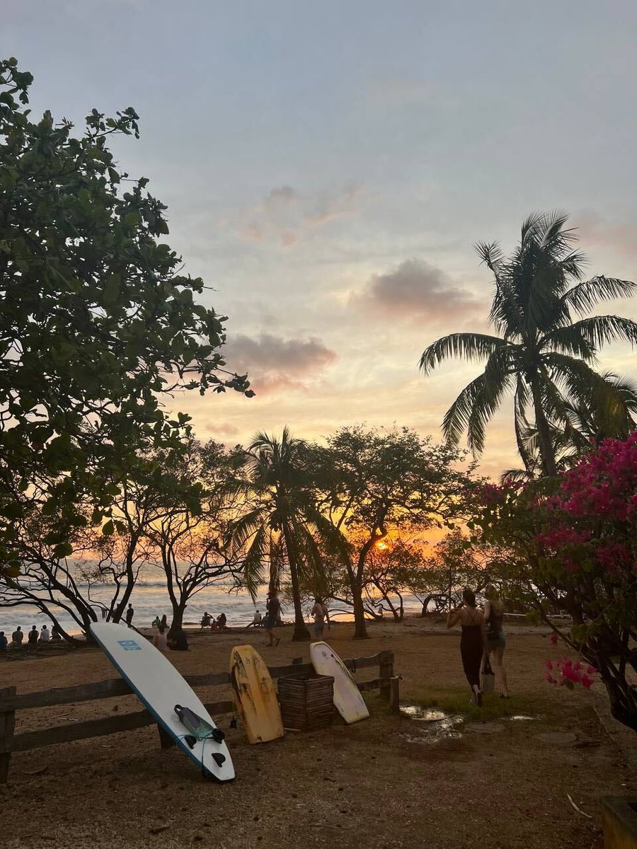 Upstate Interactive tweet media