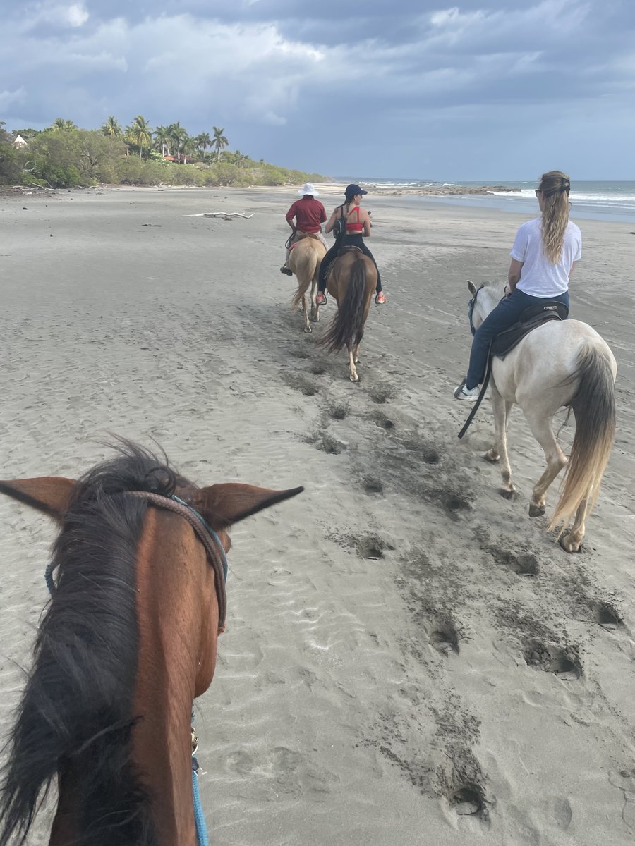 Upstate Interactive tweet media