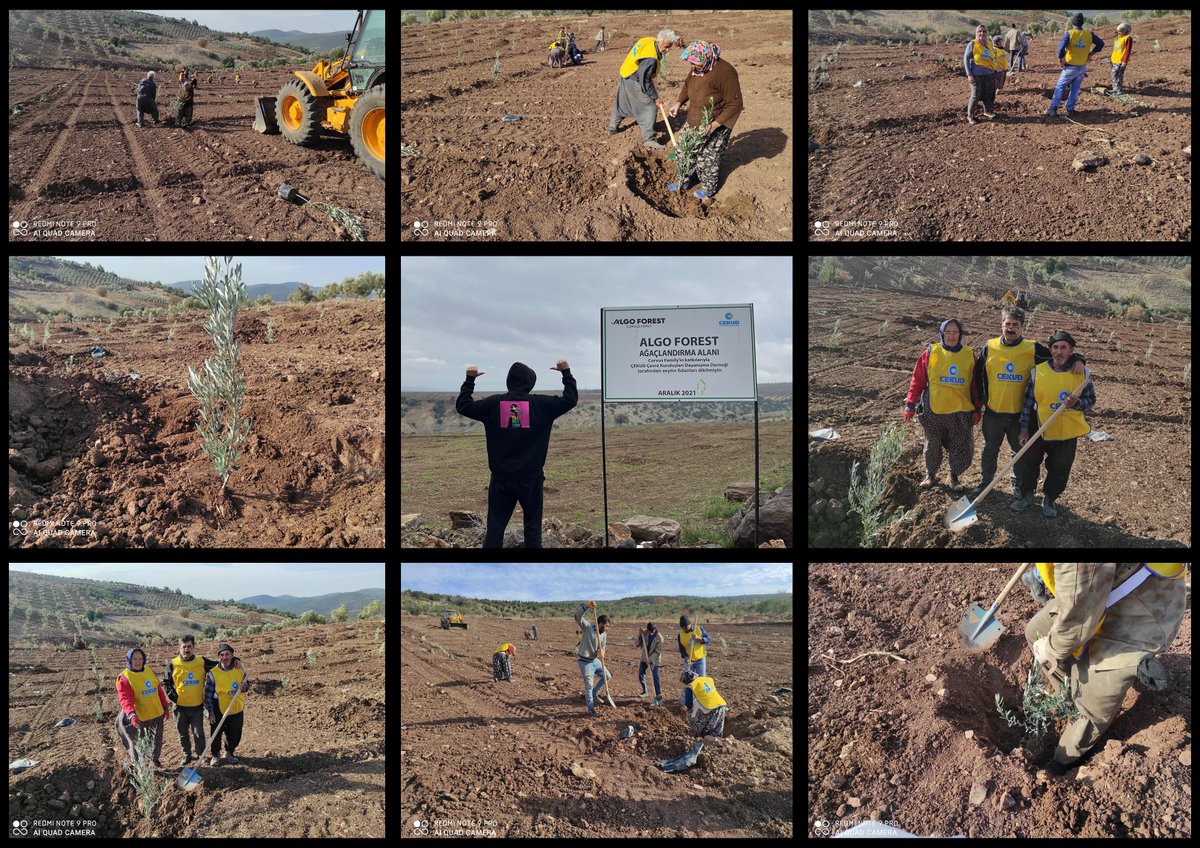 (4)
Sapling plantings were photographed.