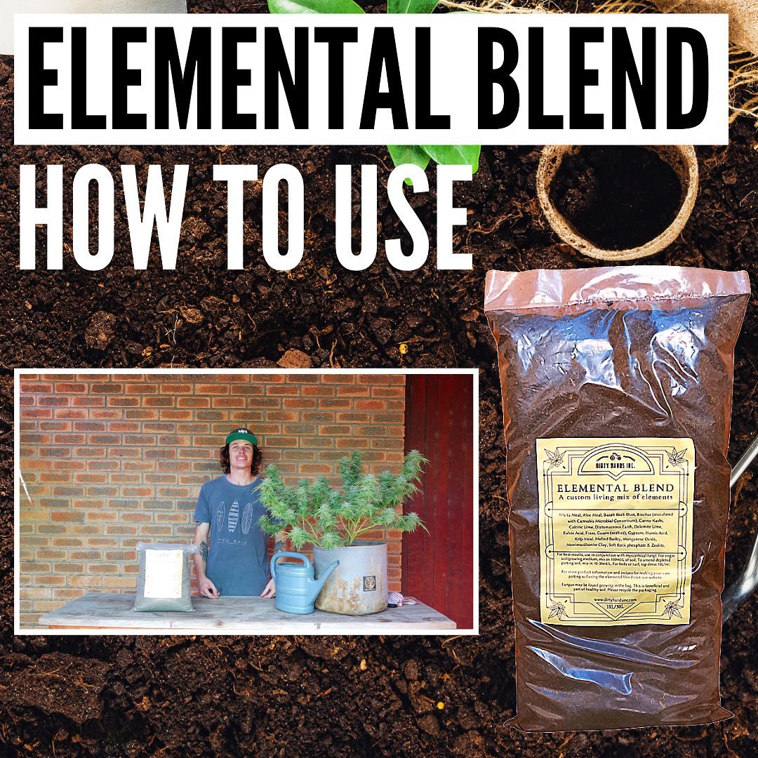 How to Re-amend your soil with Elemental Blend! 🪱

In this video we have a look some of the practical uses of the Elemental Earth blend from Dirty Hands. 
 
This is a product created to help with re-amending old soils bringing back growth to plants.