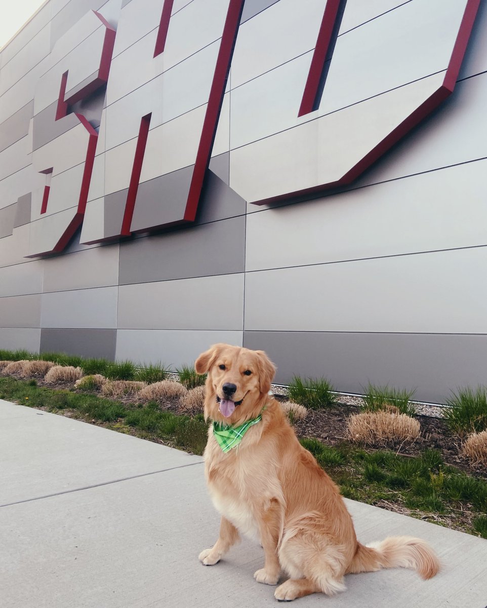 sacredheartuniv's tweet photo. Cooper woofs visiting SHU ❤️🐾

📸: Elizabeth Adams '23

#WeAreSHU #SHUPets https://t.co/JBD5qbkCfh