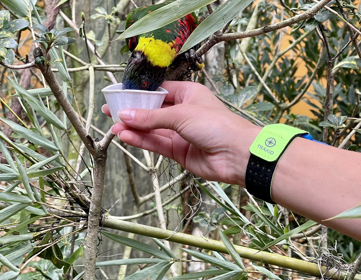 It’s an excellent day to exploring the <a href="/jacksonvillezoo/">Jacksonville Zoo and Gardens</a> and Gardens in a new adventurous way with the Nature Agent Scavenger Hunt!

#SmartFamilyFun #TRAKID #Scavengerhunt #Adventure #Jacksonvillezoo #jacksonvilleflorida