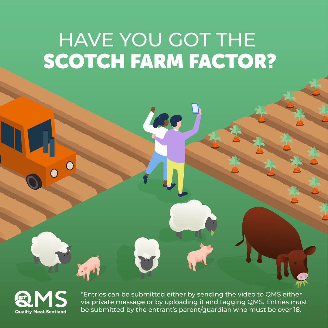 qmscotland's tweet photo. Have you got The Scotch Farm Factor? We want to see life on family farms and how you #FarmWithCred β filmed by you! One lucky winner will enjoy a celebratory meal AND take home the ultimate social media kit bag. Find out how to enter in the comments π https://t.co/U6pcweimjb