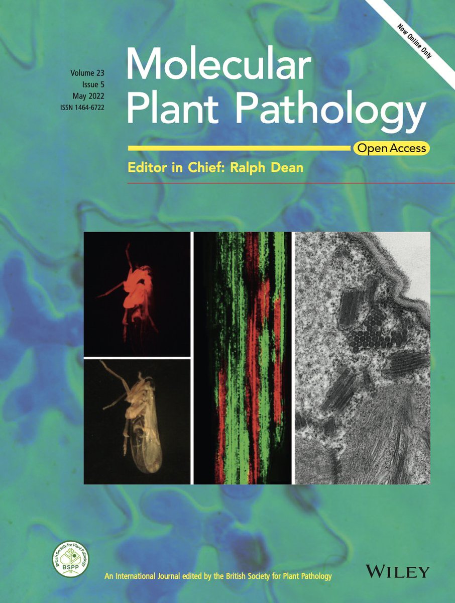 New issue online now. Are you into PR1? Or XopG? Or Rps3a/8? 📚Great reading in this one...bsppjournals.onlinelibrary.wiley.com/toc/13643703/c…