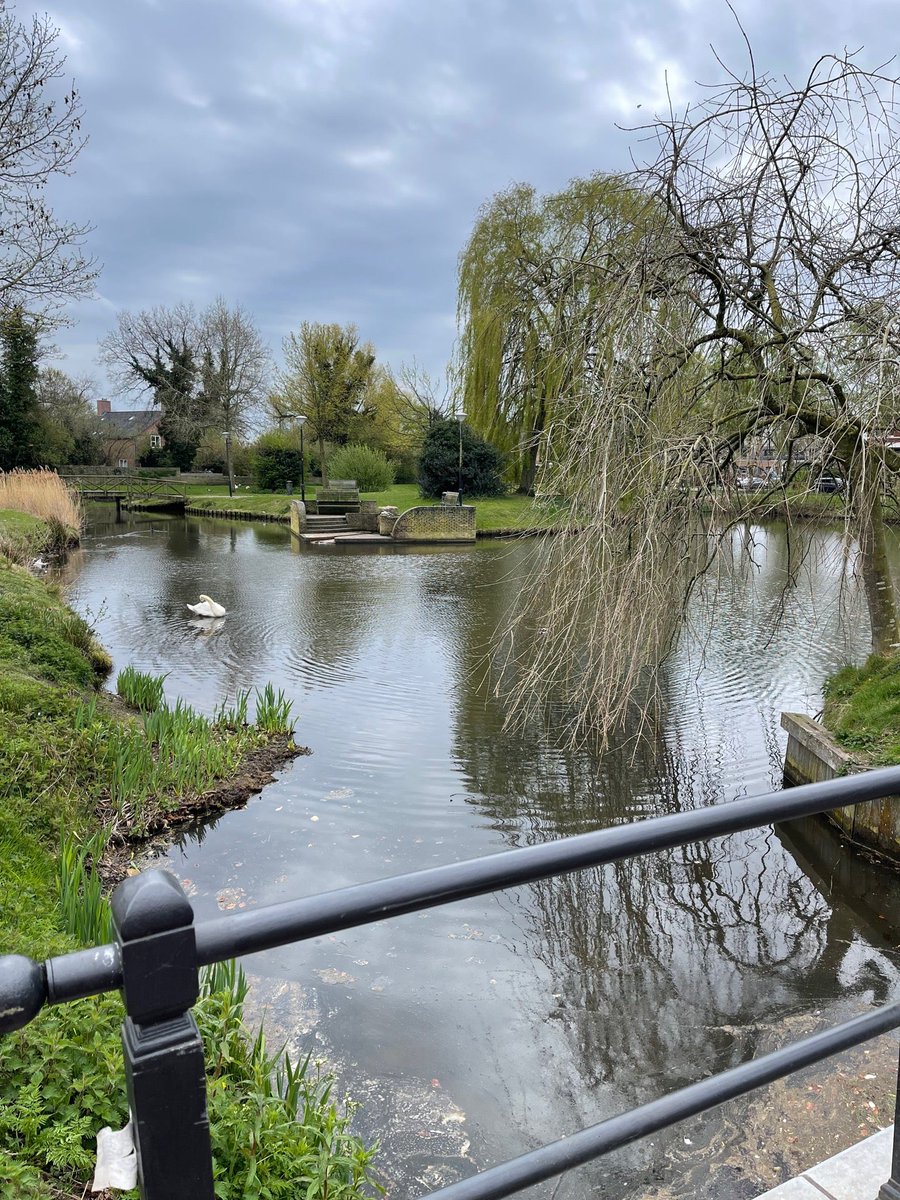 Dorothé VosHeijneman tweet media