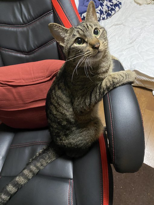 椅子を奪われました 