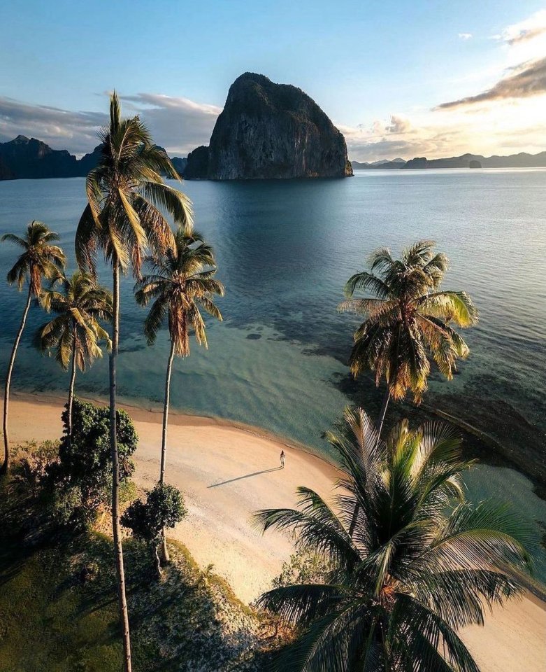 aestheticspost_'s tweet photo. Need to escape here https://t.co/wJPE1LhIYm