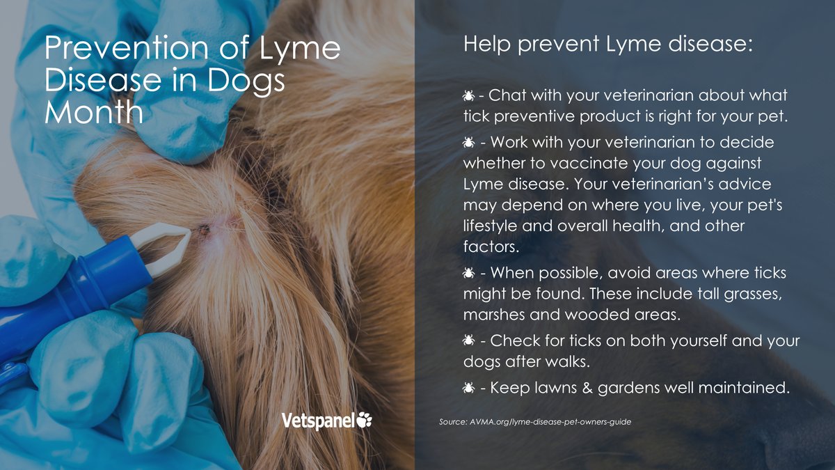 Vetspanel's tweet photo. April is Prevention of Lyme Disease in Dogs Month.

Transmitted by tick bites, Lyme disease can be difficult to detect and can cause serious and recurring health problems.

Here are some tips to help keep you and your dogs safe. https://t.co/6n7ODeW5iu