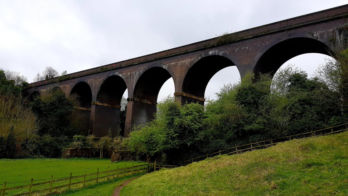 Tabby Tiger Freelance tweet media