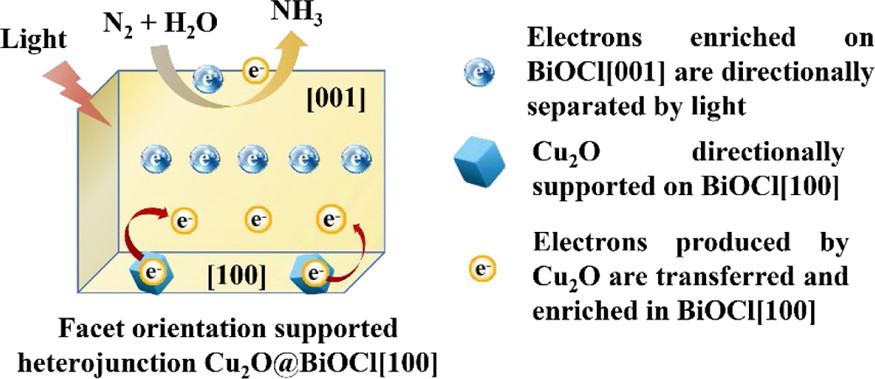 bhkenlo's tweet photo. High-Efficiency Photocatalytic Ammonia Synthesis by Facet Orientation-Supported Heterojunction Cu2O@BiOCl[100] Boosted by Double Built-In Electric Fields https://t.co/ClrtfzRgSm Meng, Xia, &amp; co-workers @InorgChem #copper #Cu2O #BiOCl #E_fields #photocatalysis #ammonia https://t.co/v7L3kiEZZH