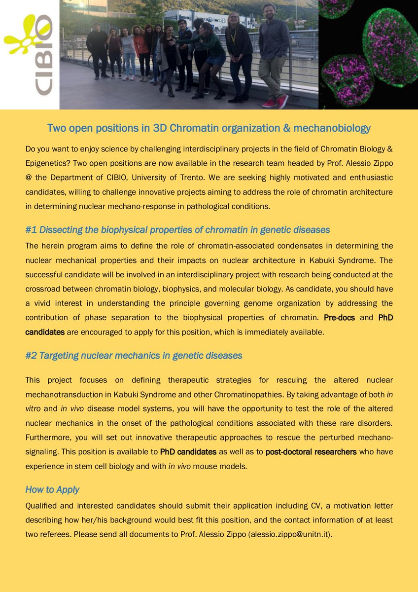 📢 Two positions are available in the lab of <a href="/alessio_zippo/">ZippoLab</a> for #PhD #predoc #postdoc candidates to work on #chromatin and therapeutic strategies in #geneticdisorders. Send your applications in! 

🗓 Open until filled
➡ See the flyer for details

#CIBIOjob #jobs #ScienceJobs