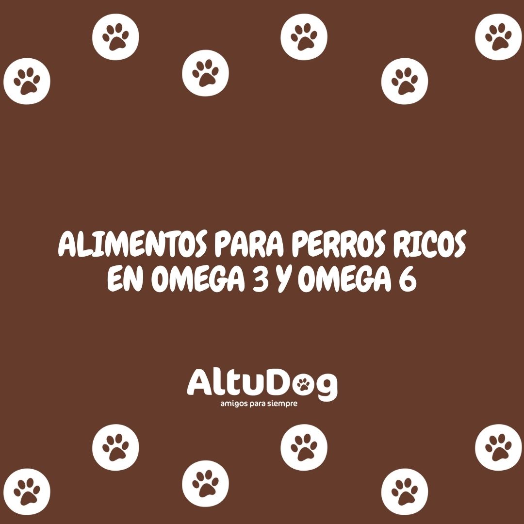 Altudog's tweet image. Los ácidos grasos Omega 3 y Omega 6 son los que se denominan como “ácidos grasos esenciales”. Se les llama esenciales porque son ácidos grasos necesarios pero su organismo no puede producir, y por lo tanto debemos obtenerlos de su dieta.
.
#omega3 #omega6 #beneficios #suplementos
