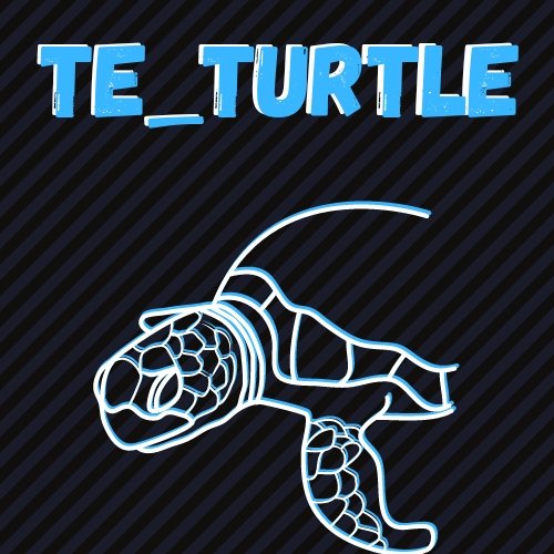 Te Turtle Creations (@TeTurtleCreate) / Posts / X