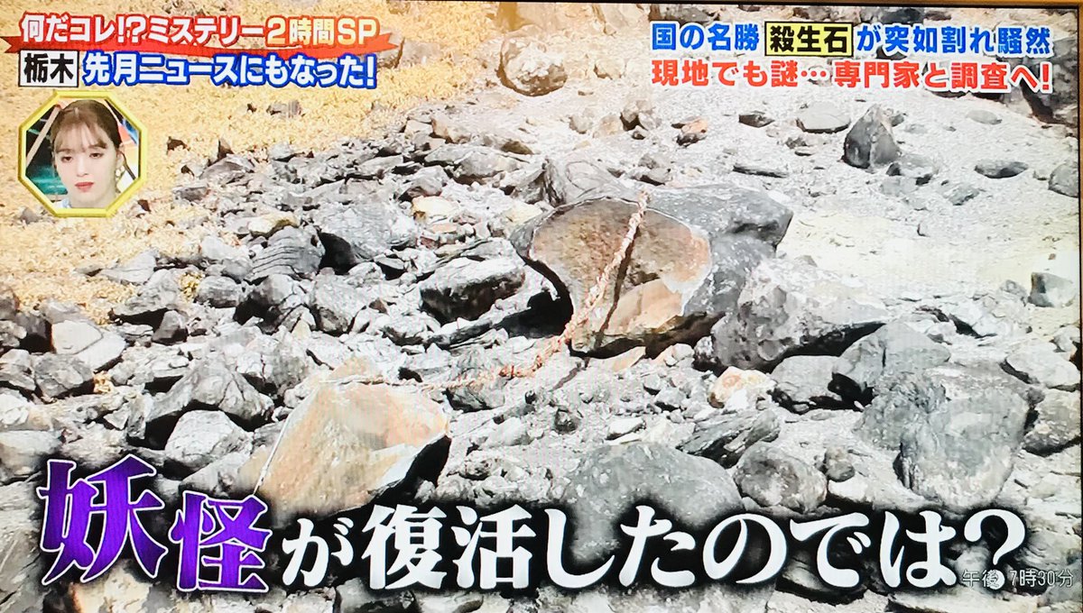 何だコレ⁉︎ミステリー2時間SP」より #栃木県 #殺生石🪨