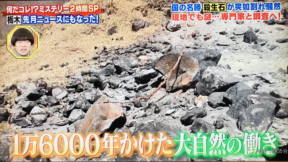 何だコレ⁉︎ミステリー2時間SP」より #栃木県 #殺生石🪨