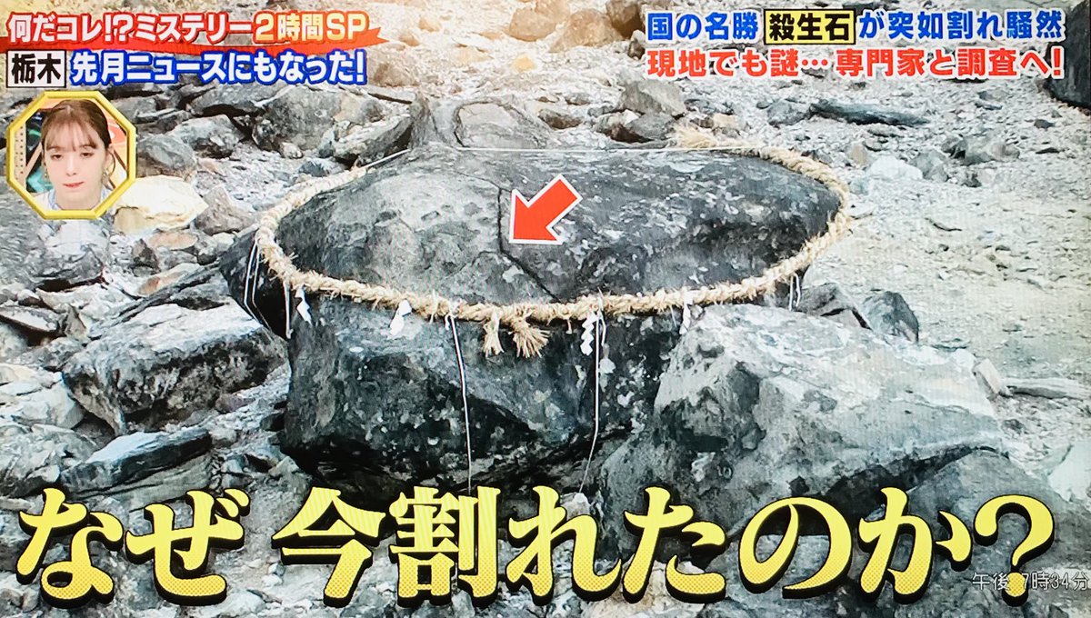 珍妙な石 なんだこれは 何だコレ⁉︎ミステリー2時間SP」より #栃木県 #殺生石🪨