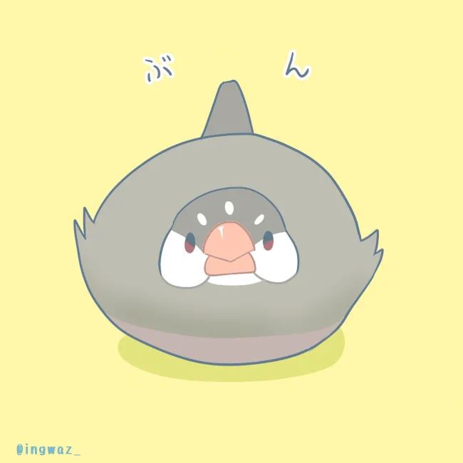 🐥
#Buncho #javasparrow #文鳥 