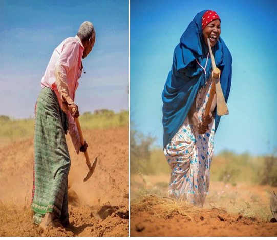 MohamoudFahmo's tweet photo. Dadka beeraleyda wayka wax soosaar badan yihiin dadka kale. Wayna ka farxad badan yihiin dadka kale.
@musse408
@MohamoudGaildon
@AmbAmerico
@rodahssn
@kingofSomaliaa
@Sooyaal5
@SakayAhmed
@Abukar_Arman
@hooyoanisa
@kadiye_r
#Beeraley
#waxsoosaar https://t.co/DH9hwSuTXh