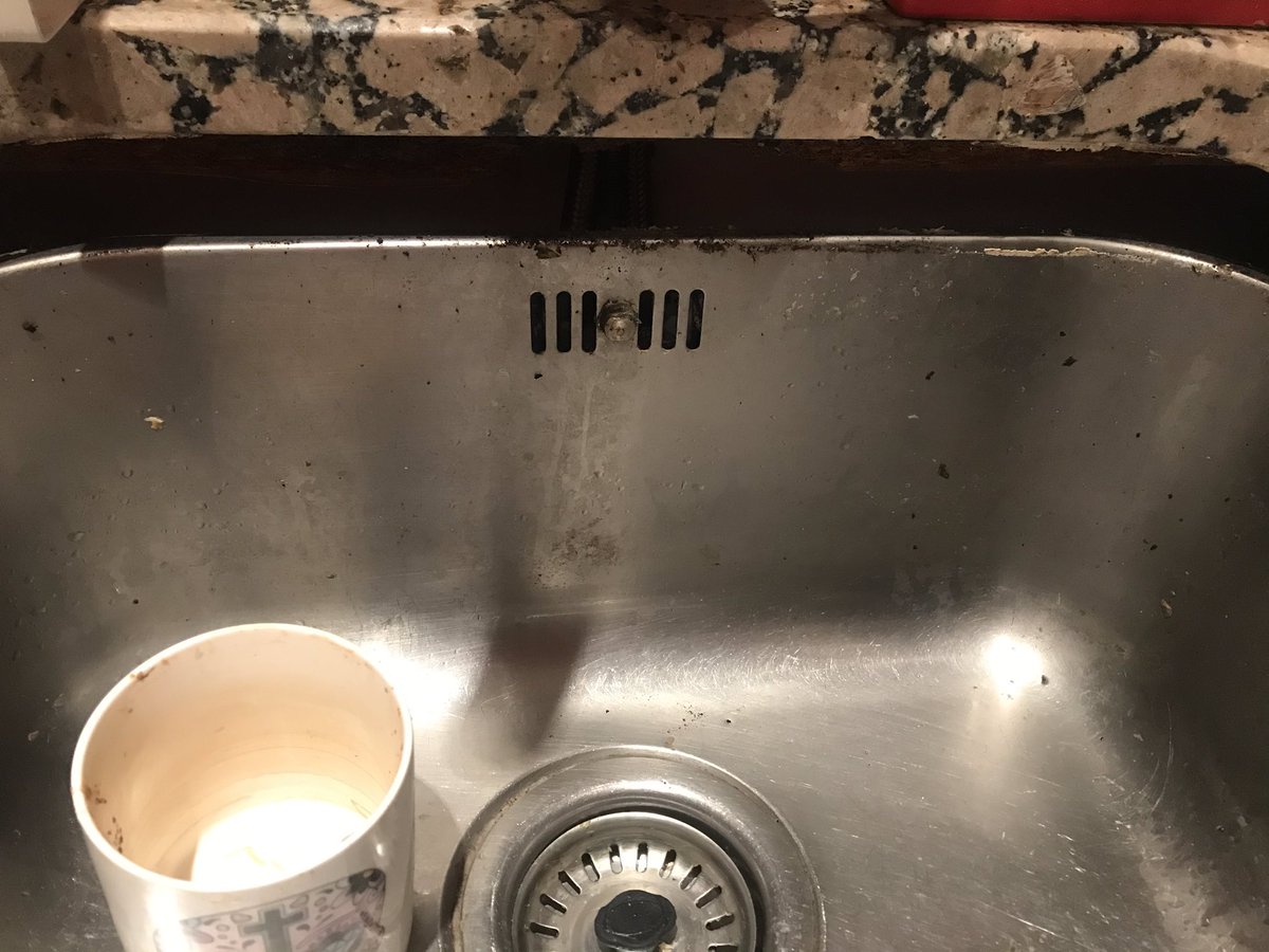 Fregaderos arruinando vacaciones. Abro hilo

#putabida #fontanero #FelizSemanaSanta