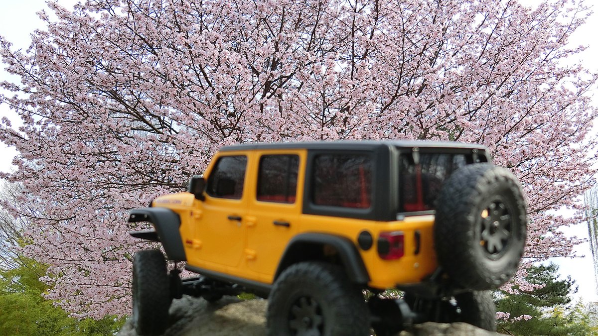 MiniZ_Garage's tweet photo. 🌸桜と🚙ミニッツ4×4
KYOSHO Mini-Z 4x4
Jeep Wrangler Unlimited Rubicon
#桜 #さくら #sakura
#kyosho #kyoshominiz #miniz #MX01 #miniz4x4
#rc4wd #rc #rccar #jeep #rubicon
#ミニRCカー #ミニッツ #ミニッツ4x4
#京商 #ラジコン #4x4 #クロカン
#ジープ #ジープラングラー https://t.co/Q5PSIjG9Ej