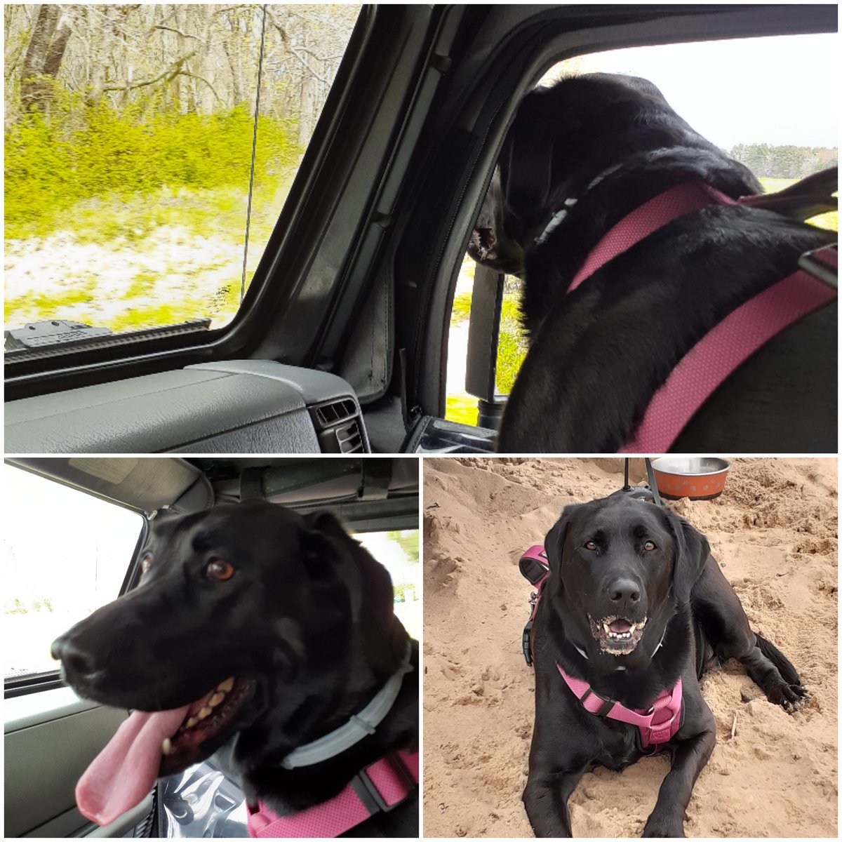 Going fishing with Dad