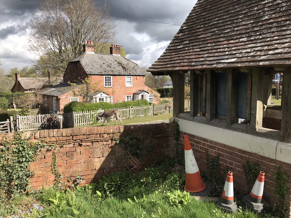 cotswoldbins's tweet photo. Hello all, here I am again, apologising as usual for neglecting you. But here are some New Forest lychgate cones and donkeys to make up for it. https://t.co/xzKHtQscuB