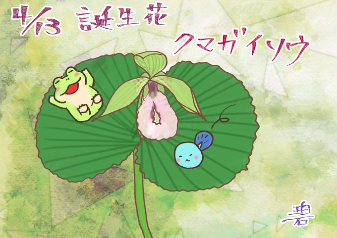 クマガイソウのtwitterイラスト検索結果