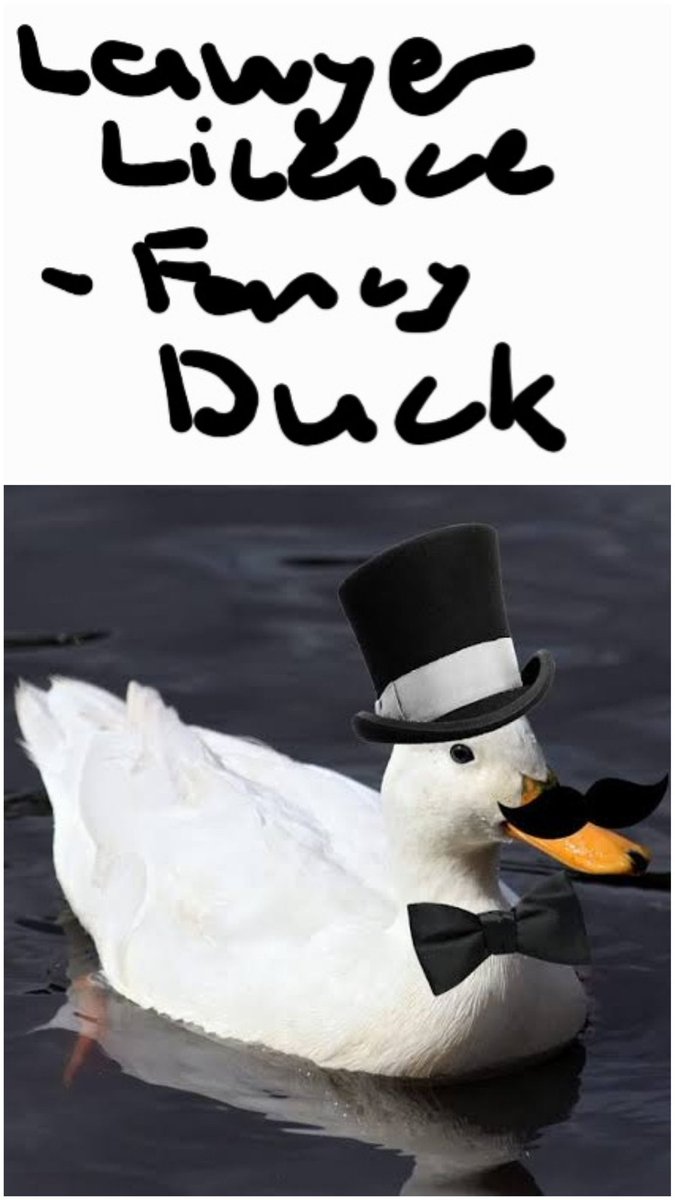 A fancy duck tweet media