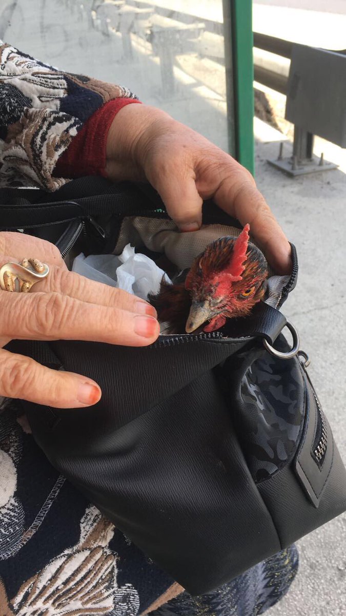 durakta teyzenin çantasından çıkarttığı şeye bakın çıldırcam