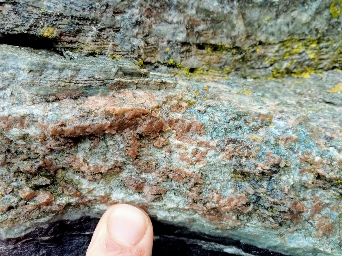 Geology_Tim's tweet photo. Some really funky minerals in this calc silicate from Fraserburgh #MSG22 https://t.co/SeX2d948Nb
