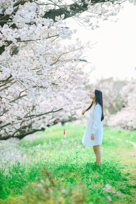 noaのTwitter画像52